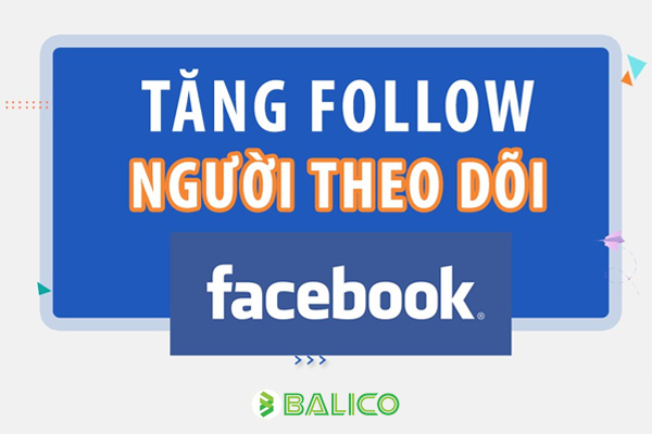 tang theo doi fb