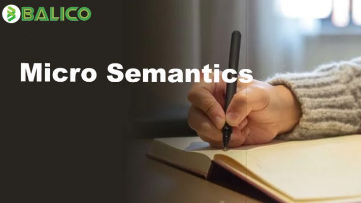 Micro Semantics