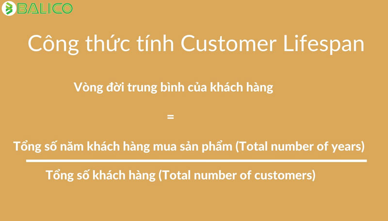 Average-Customer-Lifespan