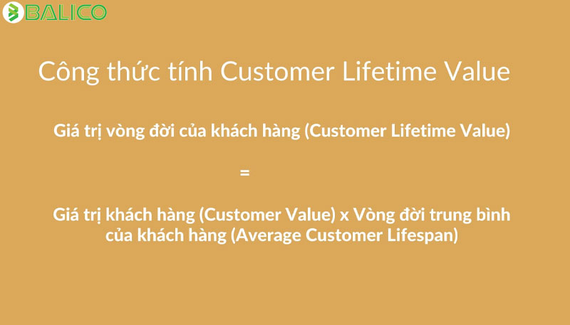 Customer-Lifetime-Value