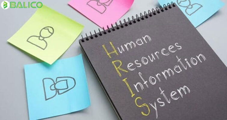 HRIS là gì? Tìm hiểu 7 tiêu chí lựa chọn phần mềm HRIS phù hợp