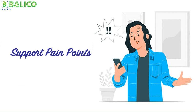 Support-Pain-Points