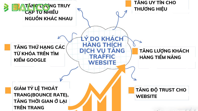 dich-vu-tang-traffic-that