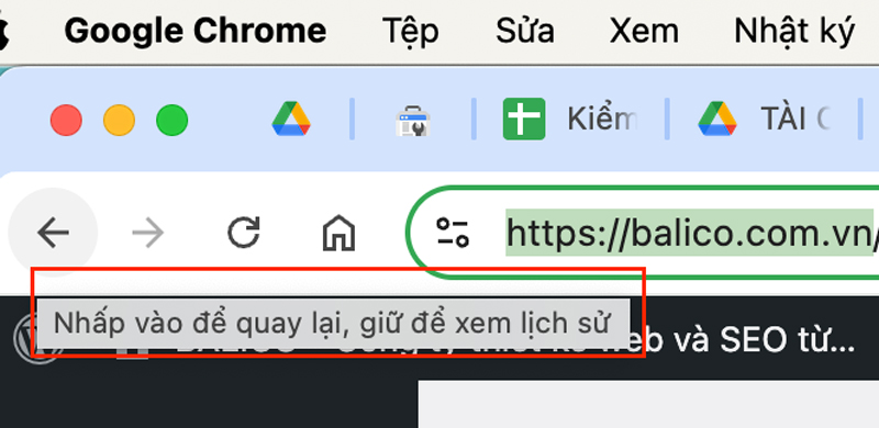 nút back trình duyệt