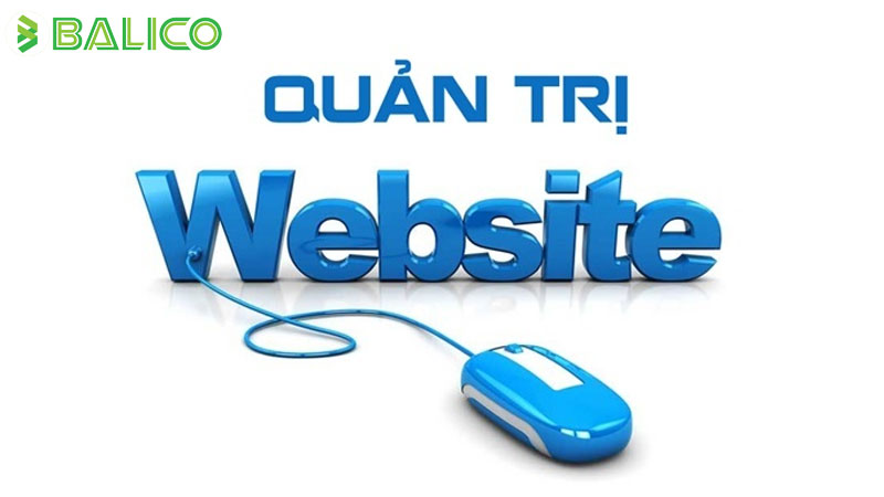 dich vu quan tri website
