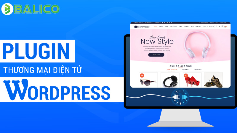 magento wordpress 4