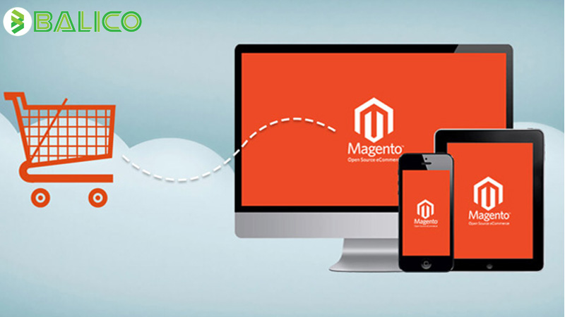 magento wordpress 5