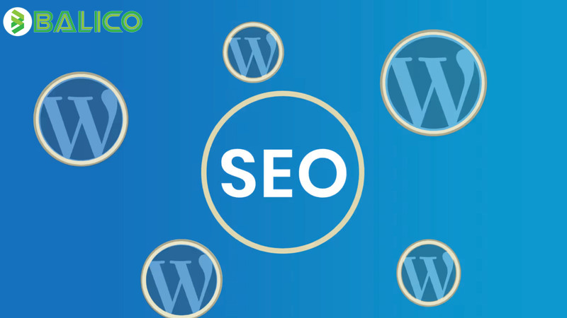 magento wordpress 8