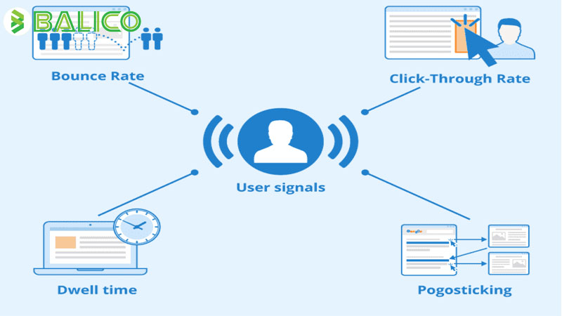 tang chi so website 2