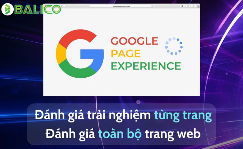 Initial Ranking & Re-ranking trong SEO là gì? trải nghiệm trên trang