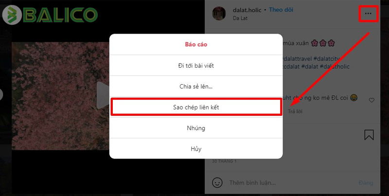 tai video ig 1