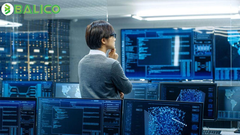 Big data học trường nào và học ngành gì?