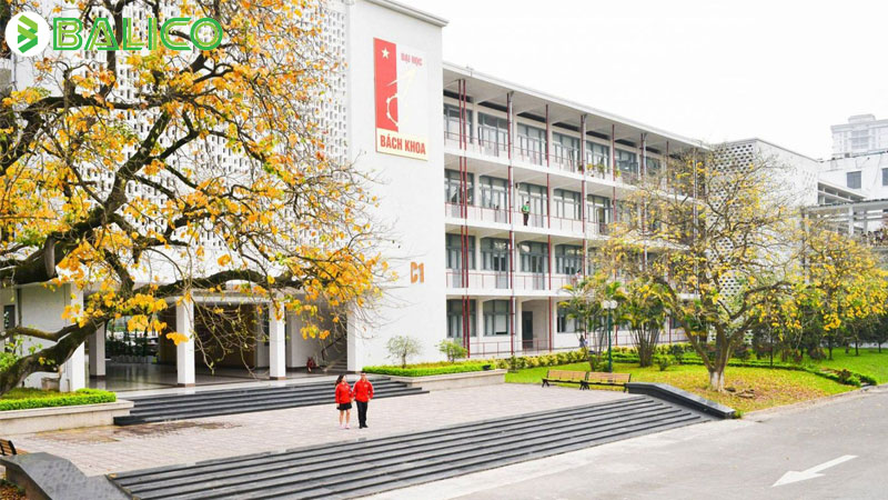 Big data học trường nào và học ngành gì?