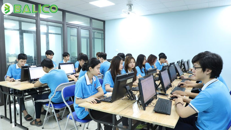 Big data học trường nào và học ngành gì?