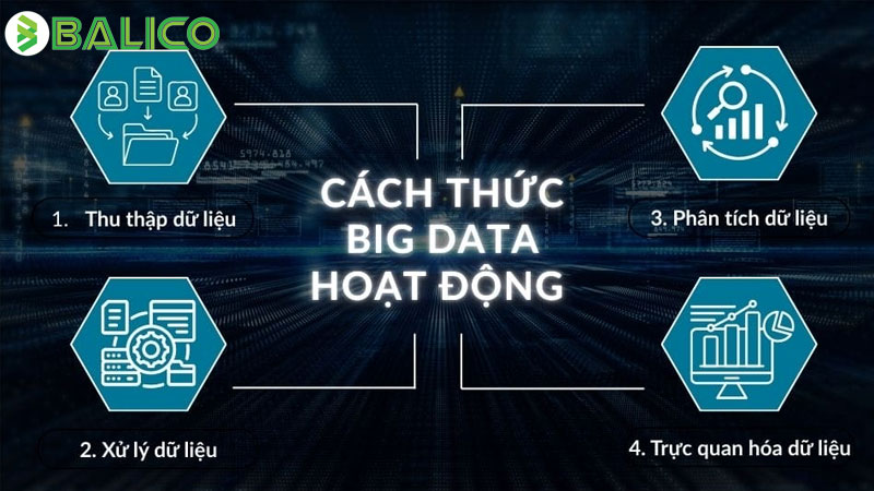 Big Data là gì? Vai trò và Ứng dụng của dữ liệu lớn