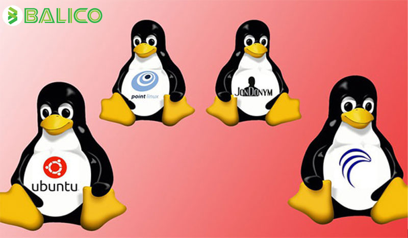 Chia sẻ kinh nghiệm tự học Linux cho người mới bắt đầu