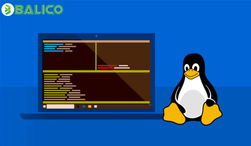 Chia sẻ kinh nghiệm tự học Linux cho người mới bắt đầu