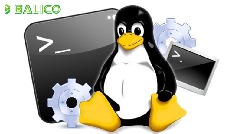 Chia sẻ kinh nghiệm tự học Linux cho người mới bắt đầu