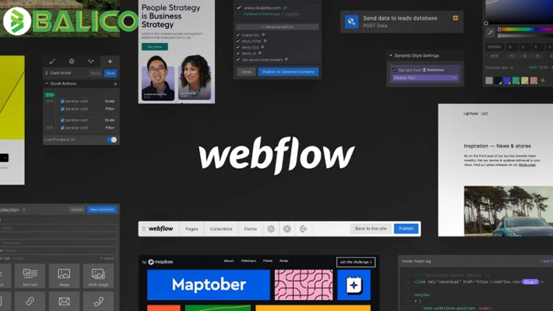 Webflow là gì? Ưu nhược điểm khi thiết kế website với Webflow