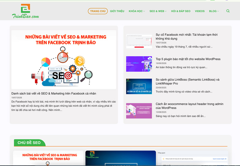 Giao diện web cá nhân của Trịnh Bảo - CEO tại BALICO